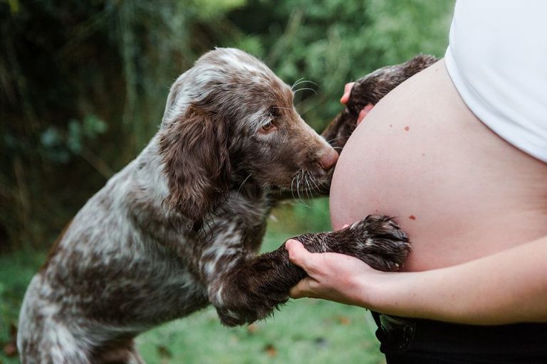 séance photo grossesse avec chien exterieur